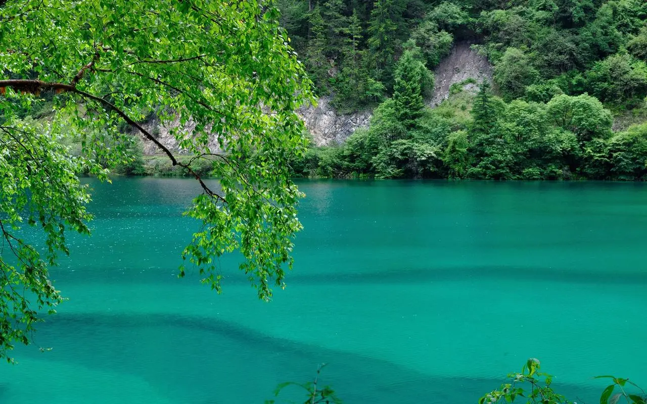 信息化电子高端